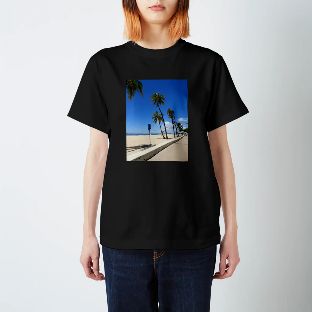 momosuke125のhawaii スタンダードTシャツ