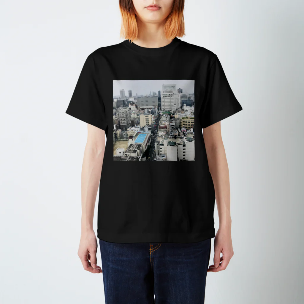 nemu no shopのプールが見える Regular Fit T-Shirt