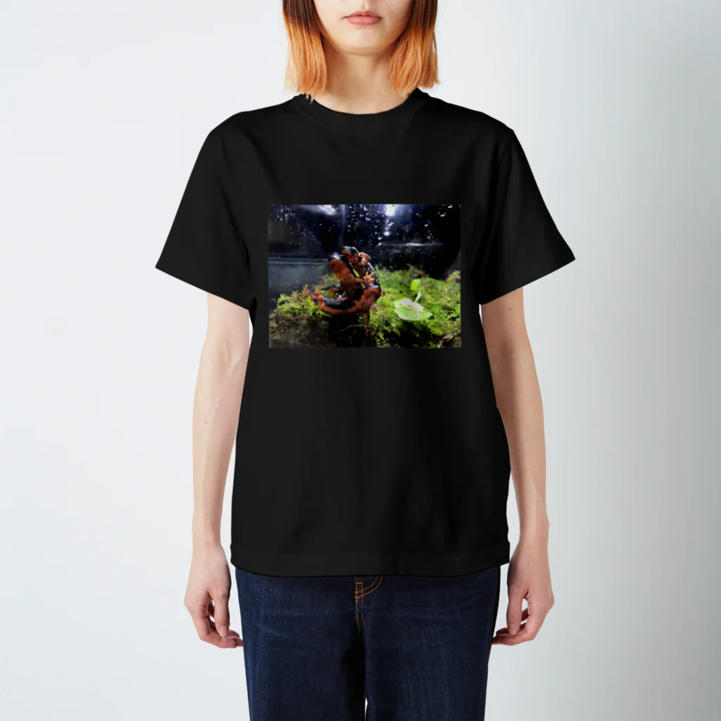 CRAYFISHのシリケンイモリ Regular Fit T-Shirt