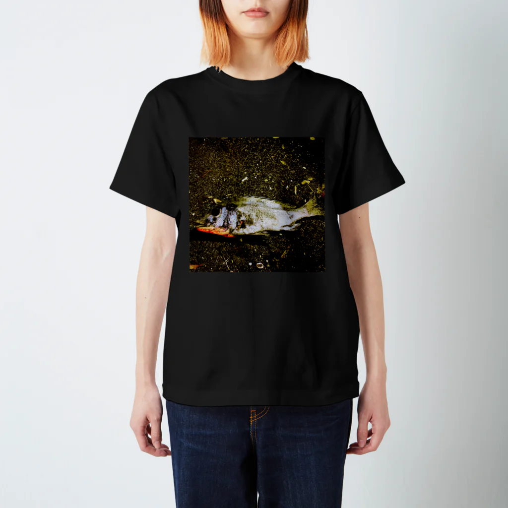 fog4869の死んだ魚T スタンダードTシャツ