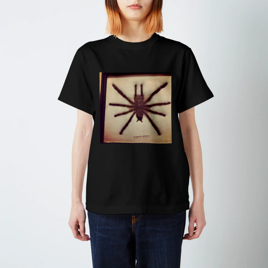 Lost'knotのクロイスパイダーマン スタンダードTシャツ