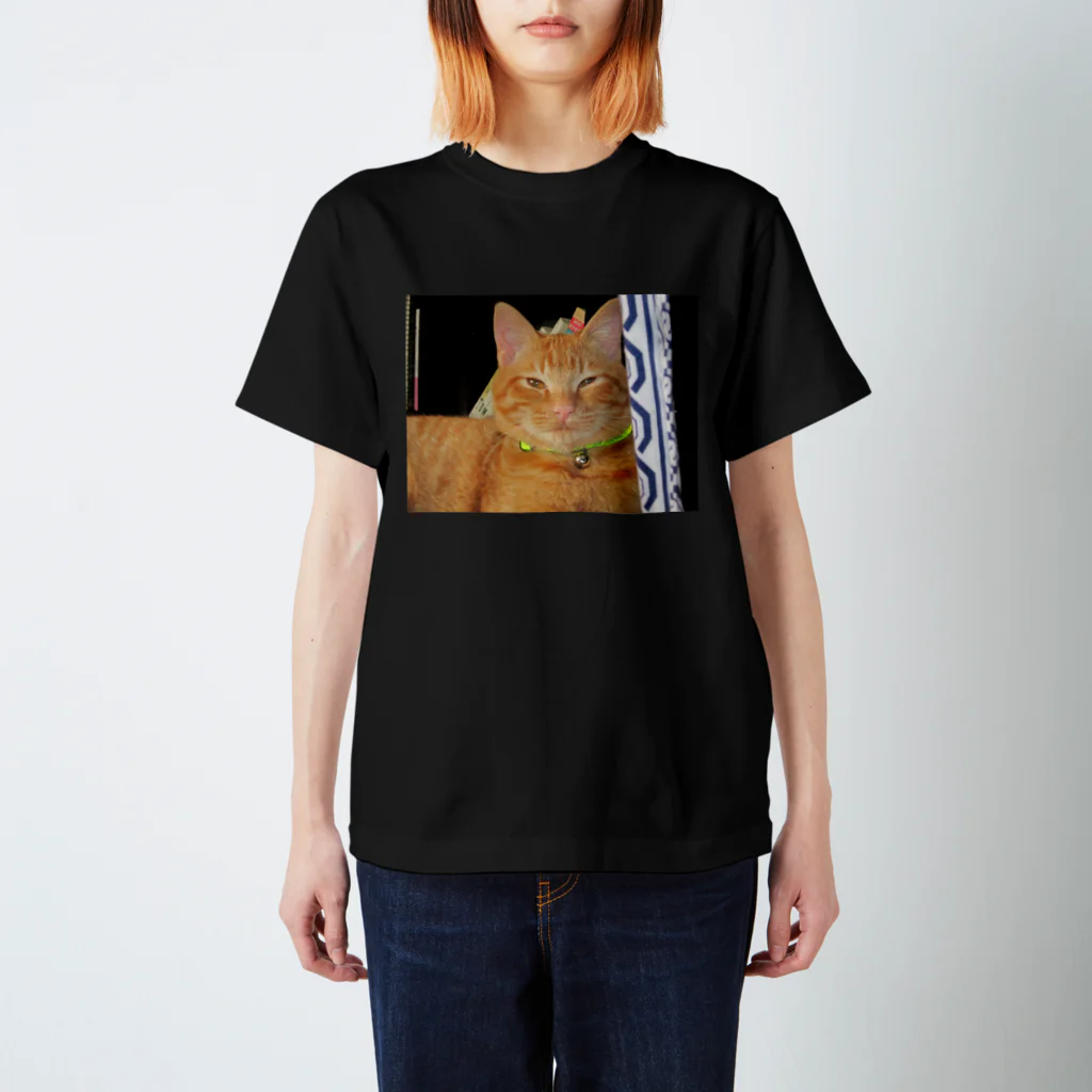 猫充商店の痩せねば　はく スタンダードTシャツ