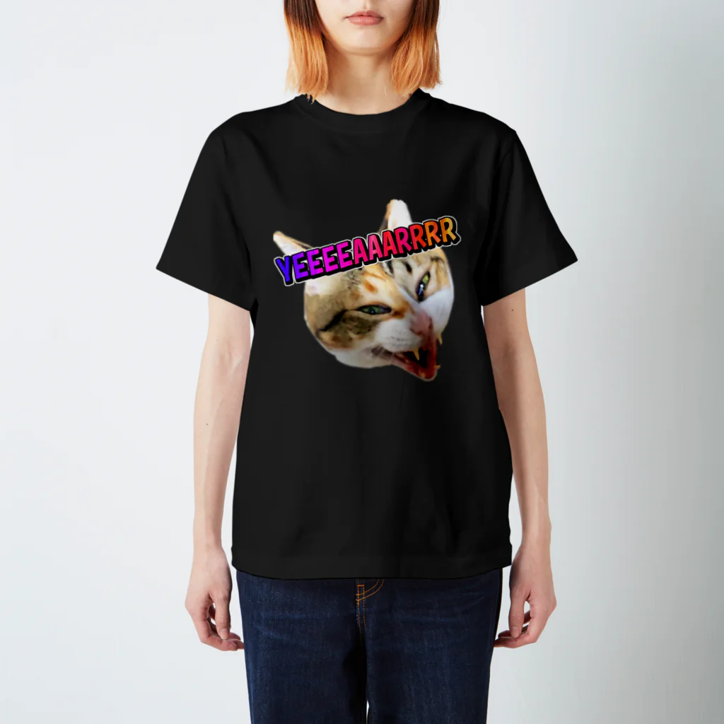 washakiti1の縞三毛猫きいの発狂YEAR スタンダードTシャツ