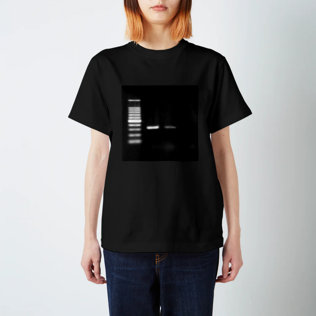 あにまきな工房の泳動はええど / Electrophoresis is good. Regular Fit T-Shirt