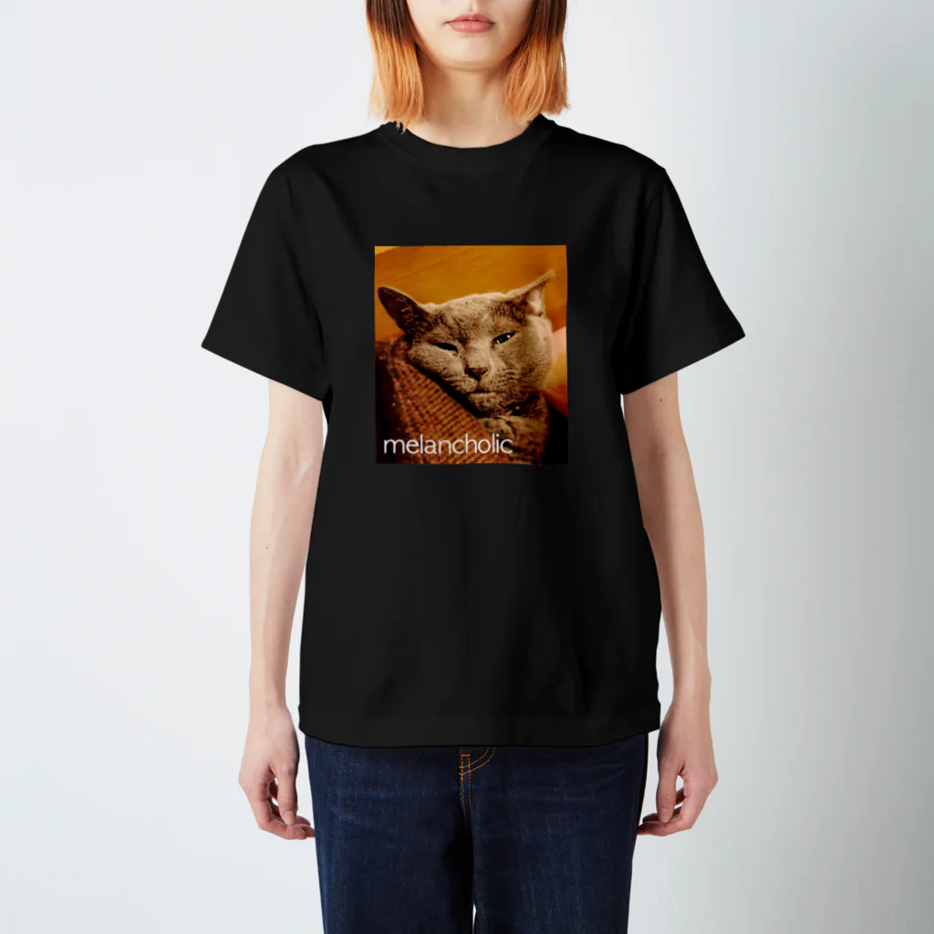 Another Nightzのmelancholic スタンダードTシャツ