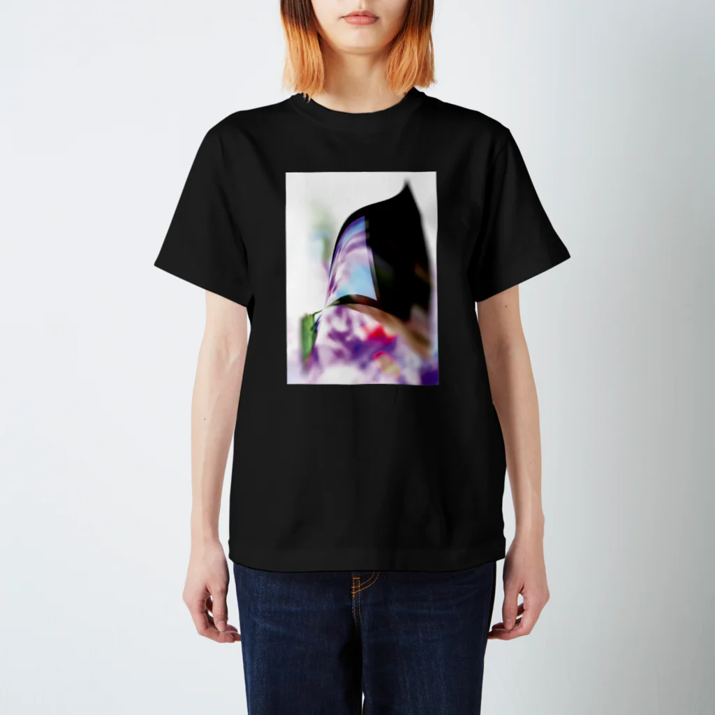 Ambiguous"Shopの Ambiguous_no.9 スタンダードTシャツ