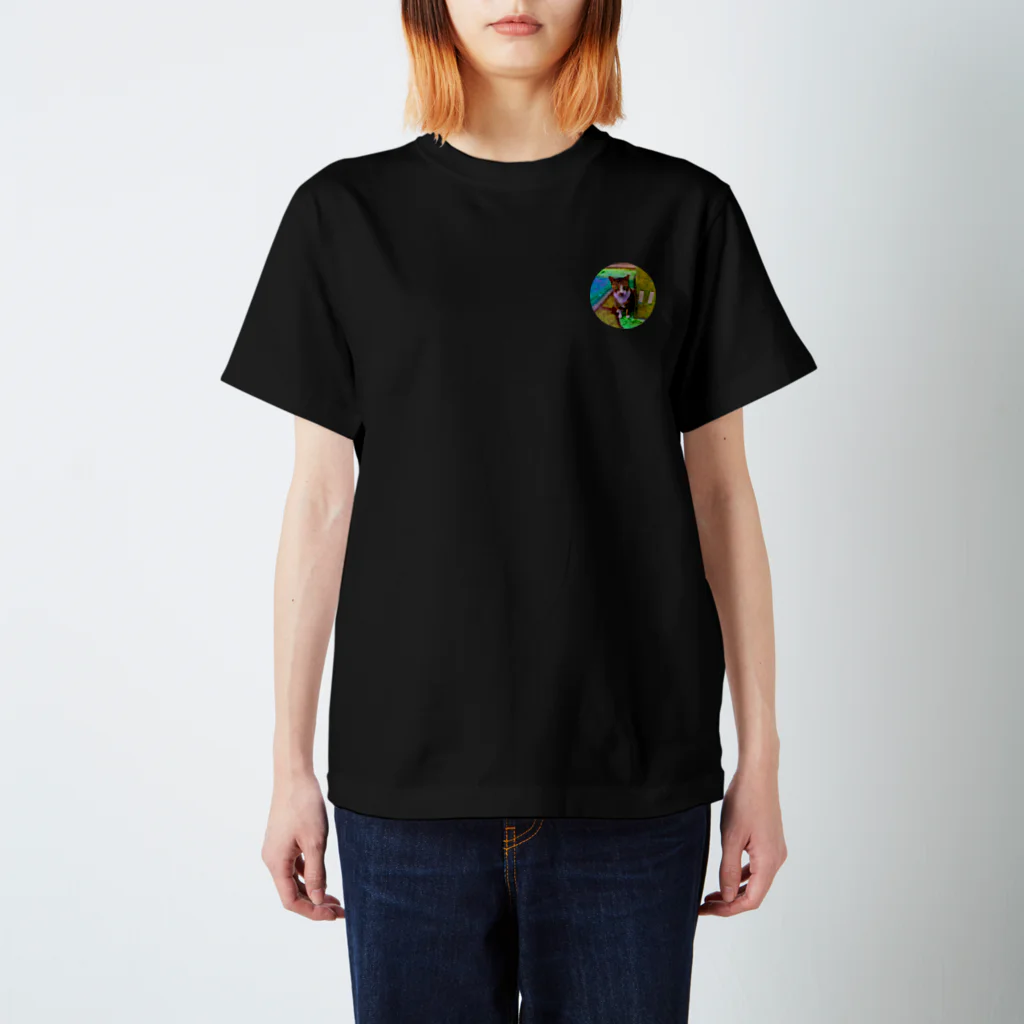 にゃっく -NecoKnickKnack-の空降街猫 Regular Fit T-Shirt