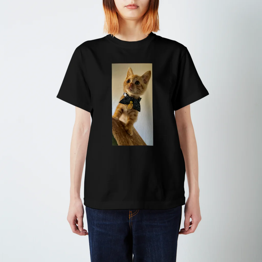 ryutobiの保護猫ロン君！ Regular Fit T-Shirt