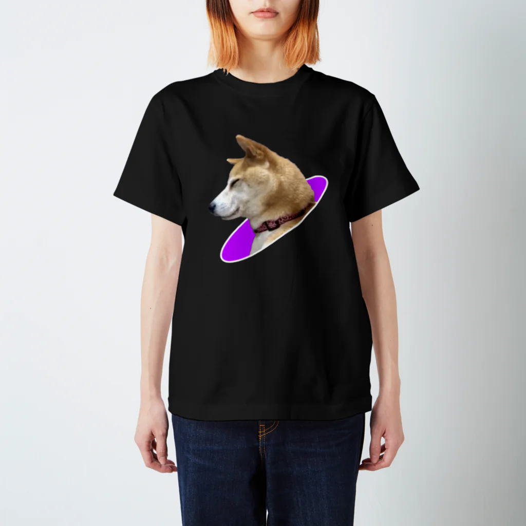些細な心の日曜日の眠り柴犬 Regular Fit T-Shirt