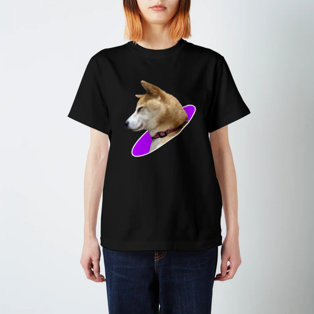 些細な心の日曜日の眠り柴犬 スタンダードTシャツ