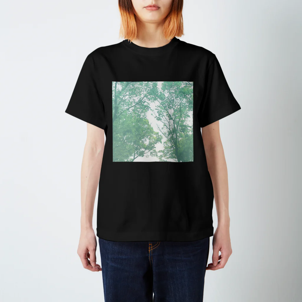 otoyaの木漏れ日 Regular Fit T-Shirt