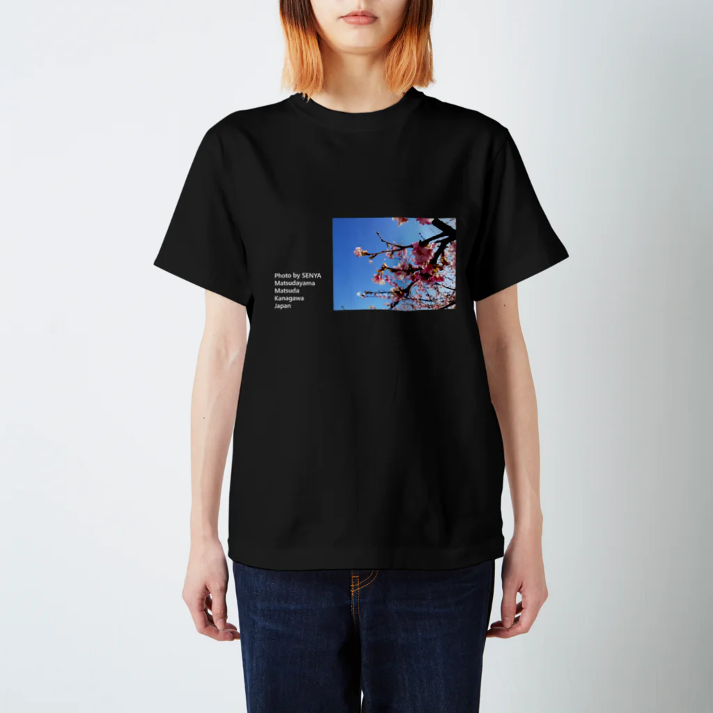 千弥 SENYAのSeasons_sakura スタンダードTシャツ