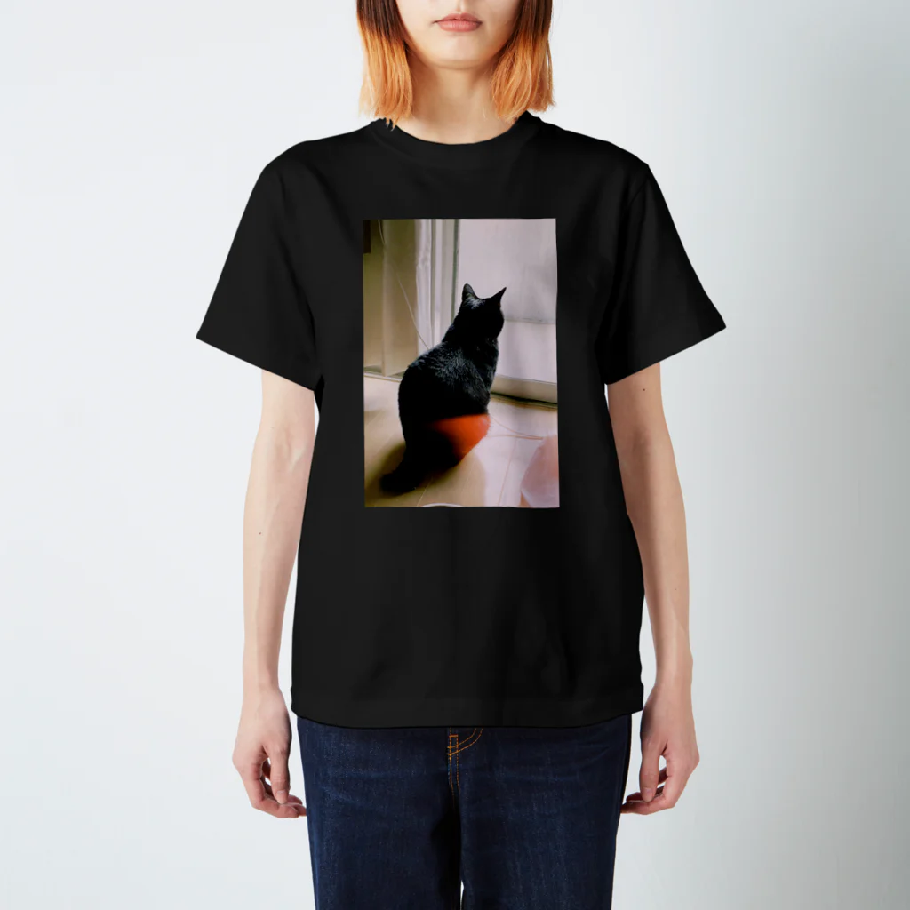 おちゃのこさいさいのねこの背中のねこ Regular Fit T-Shirt