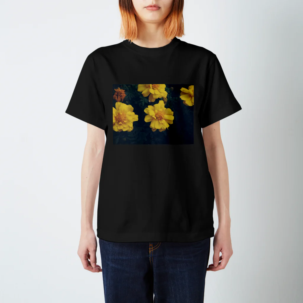 KAEDEのKAEDEの写真たち Regular Fit T-Shirt