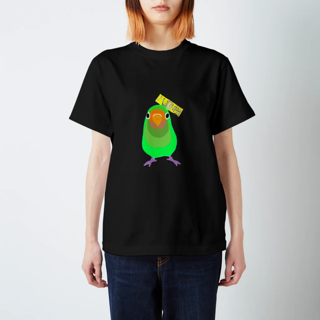 鳥の巣のヤエザクラインコさん スタンダードTシャツ