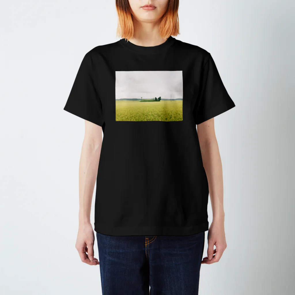 japan_go_roundのInzai, Chiba スタンダードTシャツ