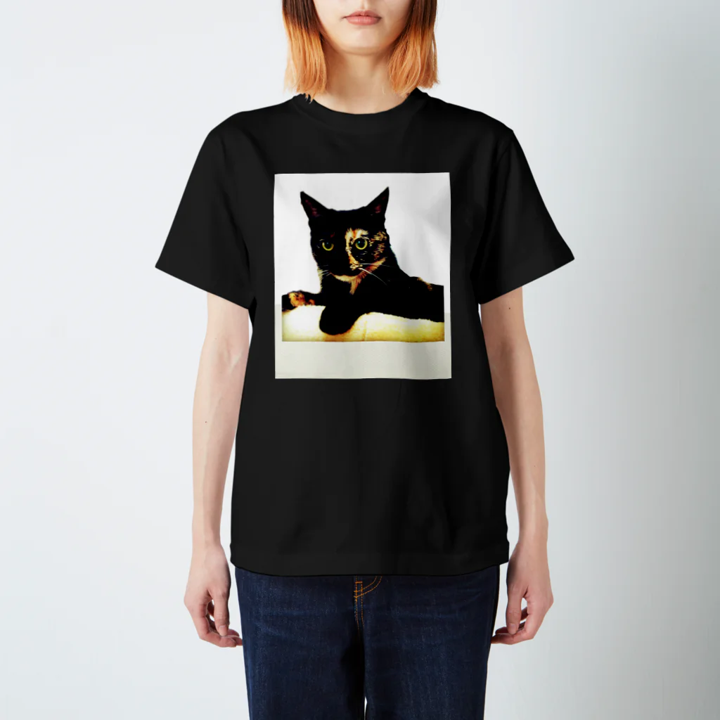 ぽちこじ屋のサビ猫チャビ スタンダードTシャツ