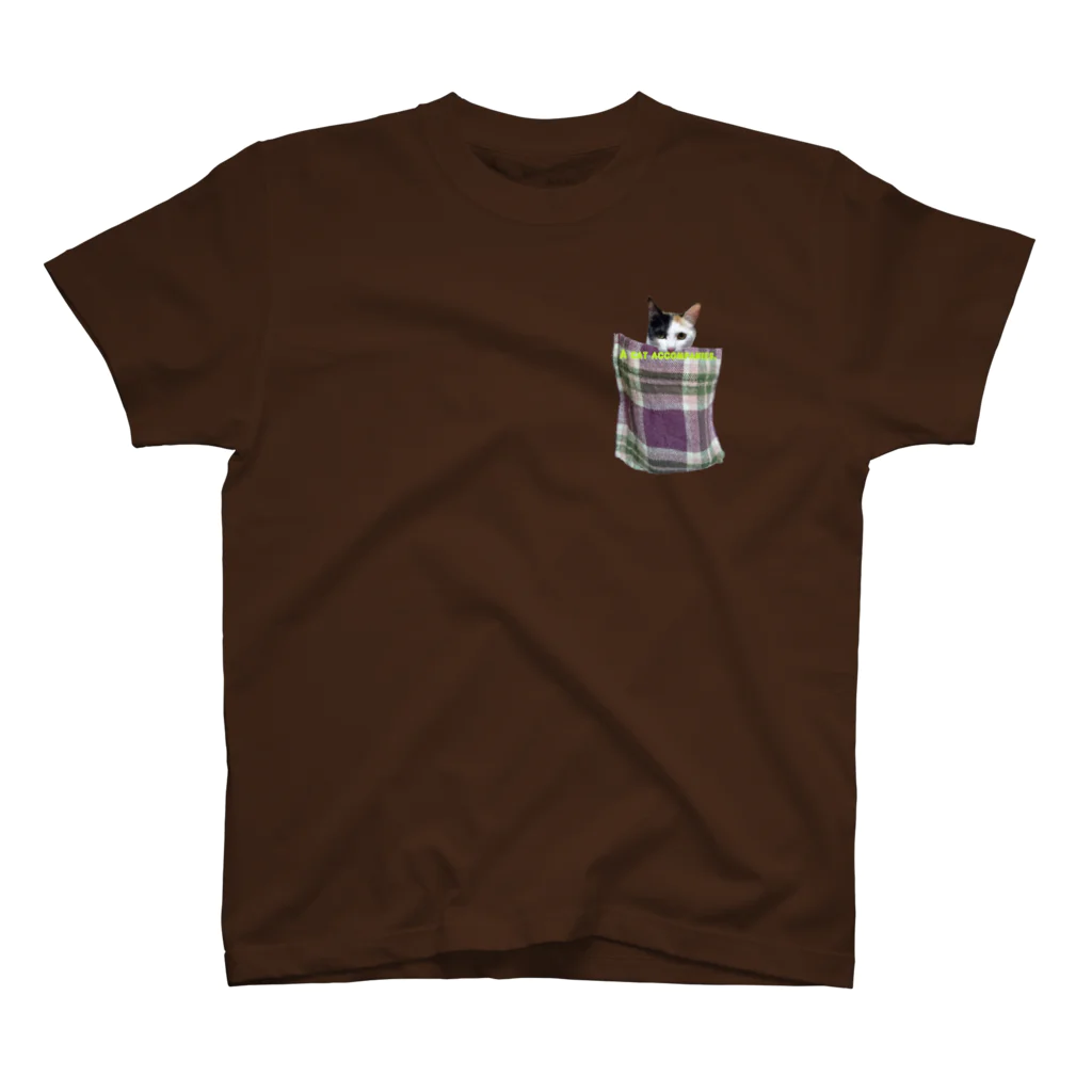 Hesseの富士山YMCAキャンプ場 Regular Fit T-Shirt