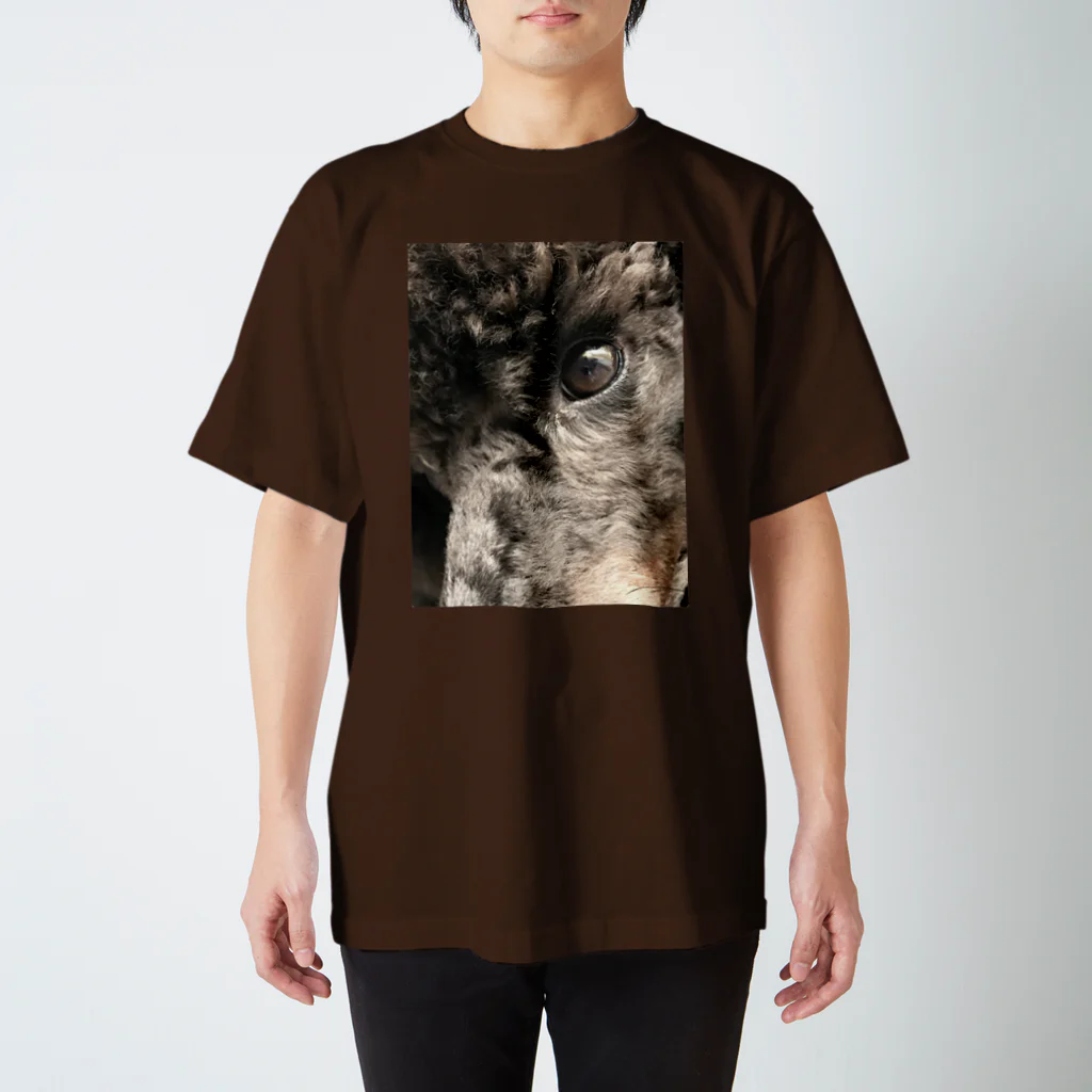 ノラうさきゅん☆のイケ目犬 Regular Fit T-Shirt