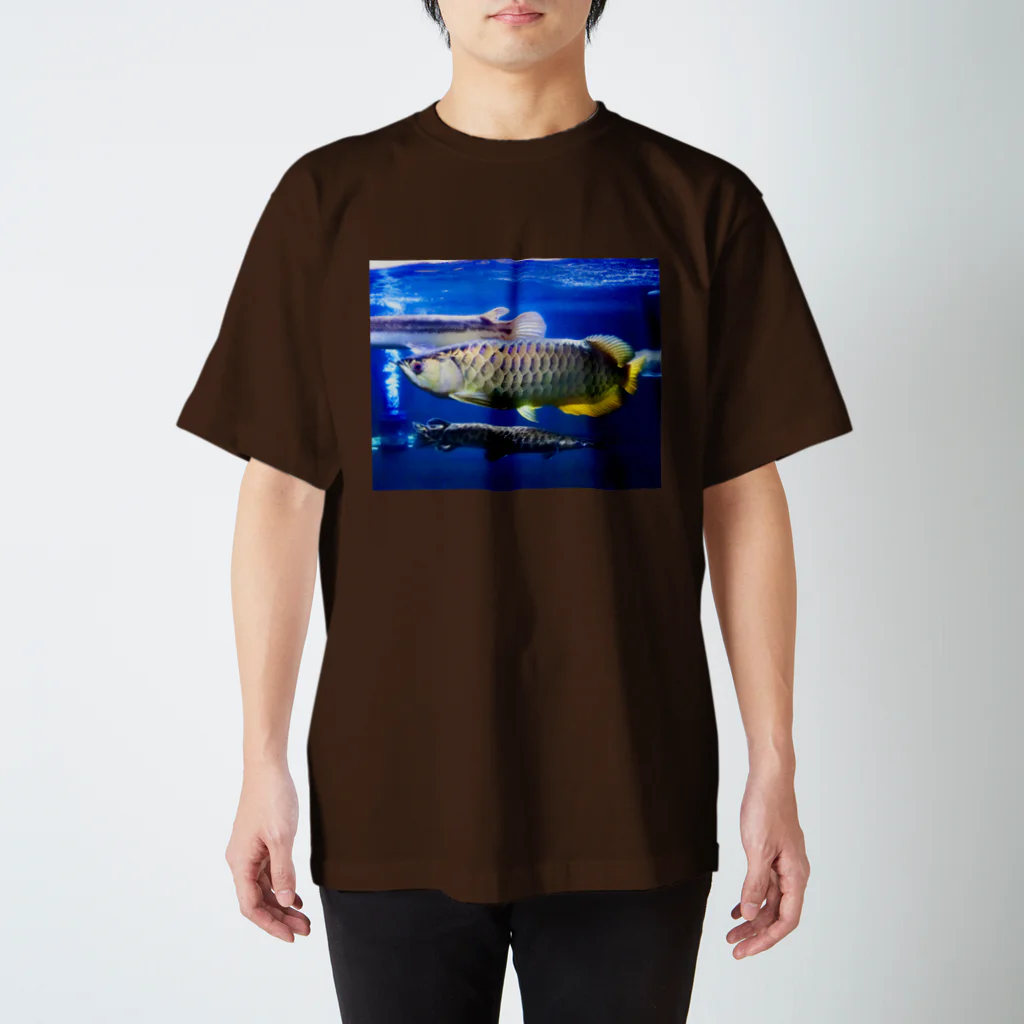 Lepisosのうちの水槽 スタンダードTシャツ