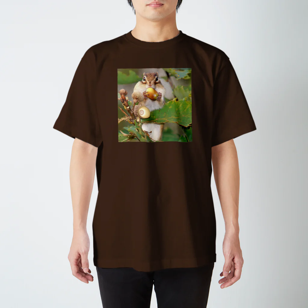 【理想の笑顔を】動物を好きな全ての人が豊な人生を送るための雑貨屋◆にこらびの【もう１つ】サロベツで冬眠前のシマリス Regular Fit T-Shirt