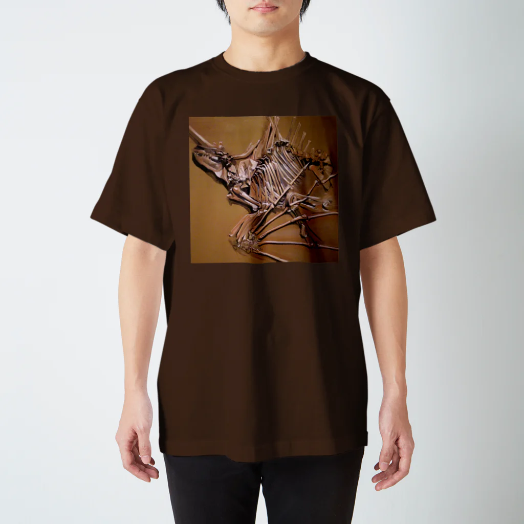 うちわえびのAenigmatherium スタンダードTシャツ