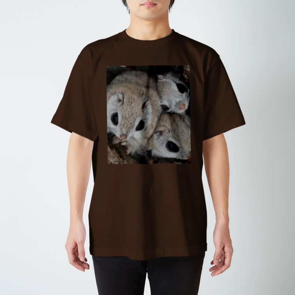 【エゾモモンガの店】使うだけで人生豊かに生られるサロベツの動物◆にこらびの【サロベツのエゾモモンガ】皆いれば暖かい Regular Fit T-Shirt
