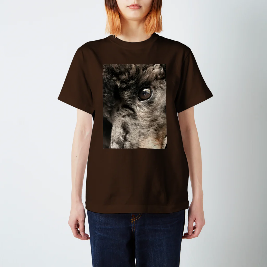 ノラうさきゅん☆のイケ目犬 Regular Fit T-Shirt