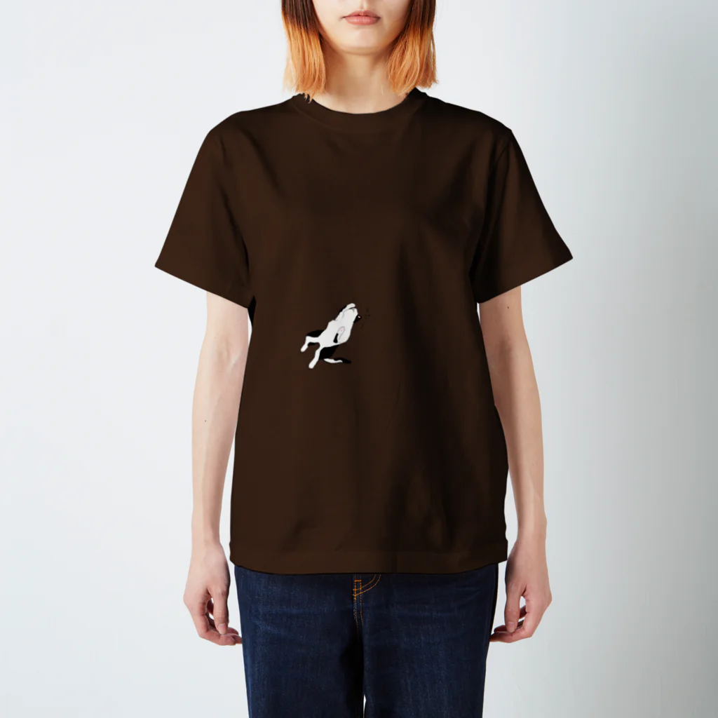 aozora-purasuののびねこ Regular Fit T-Shirt