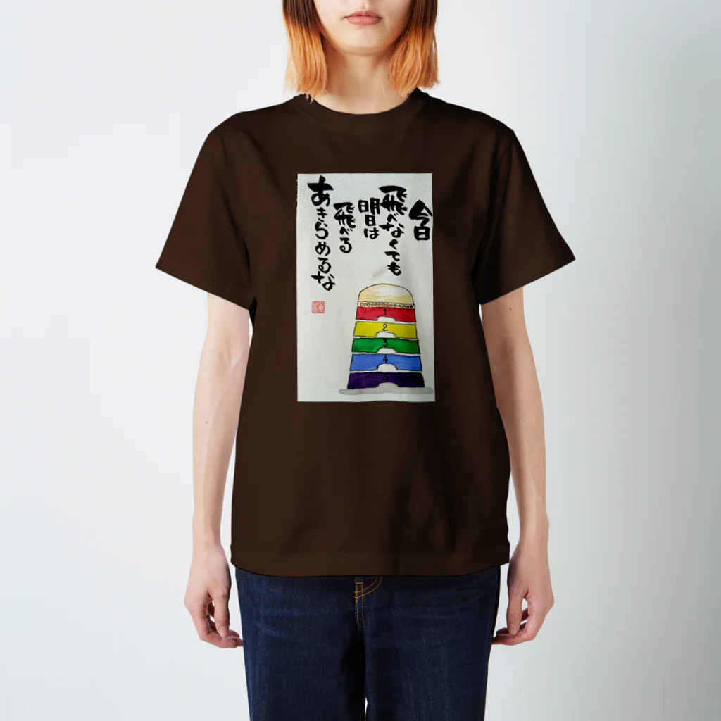 月虹堂の飛び箱 Regular Fit T-Shirt
