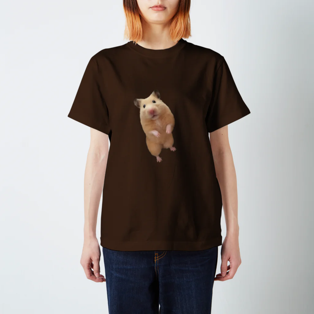 キンクマハムスターふろちゃんショップのキンクマハムスターふろちゃん Regular Fit T-Shirt