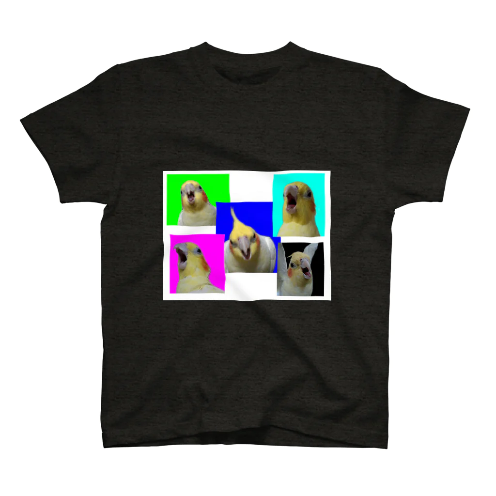 オカメインコのようなそうでないような・グッズ屋さんの飼い主と目が合った時のインコ Regular Fit T-Shirt