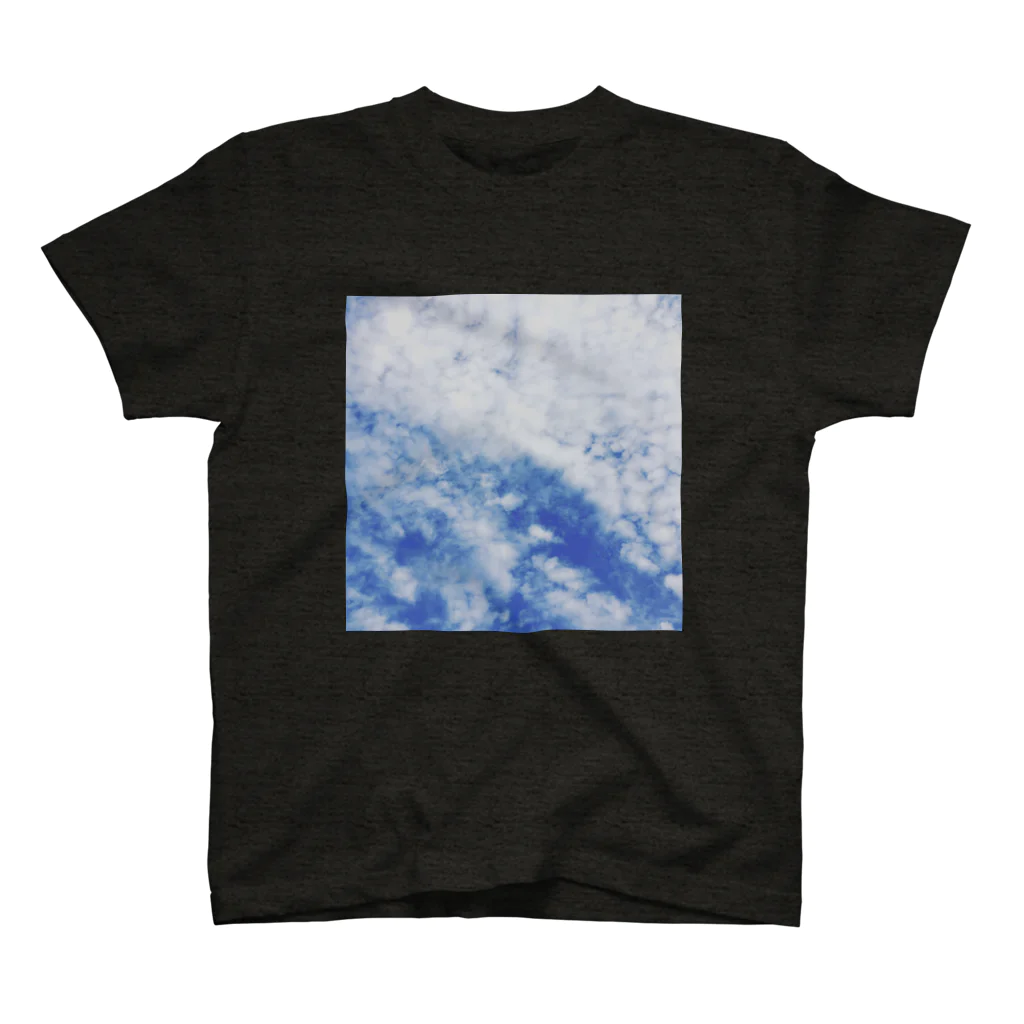 shizukusanの棚の雲 Regular Fit T-Shirt