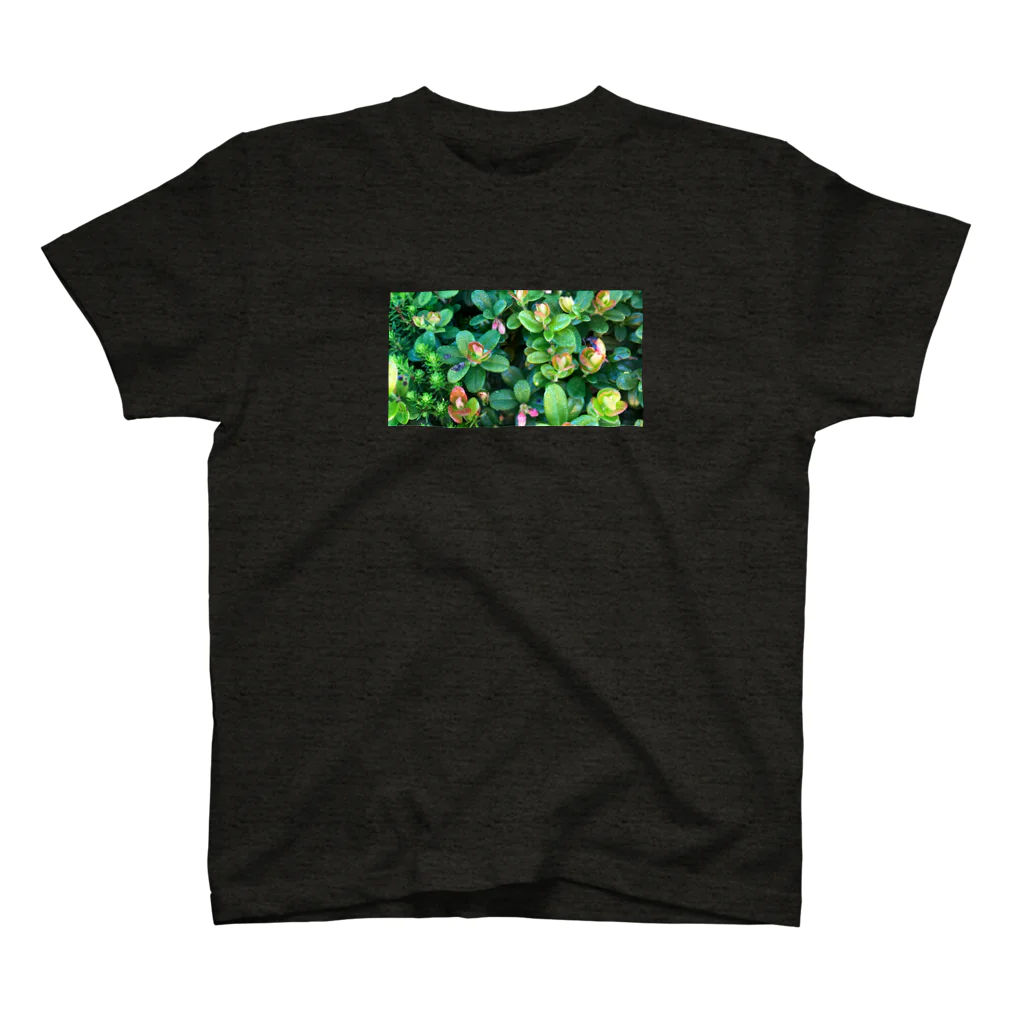 megu0328の乗鞍岳の高山植物 Regular Fit T-Shirt
