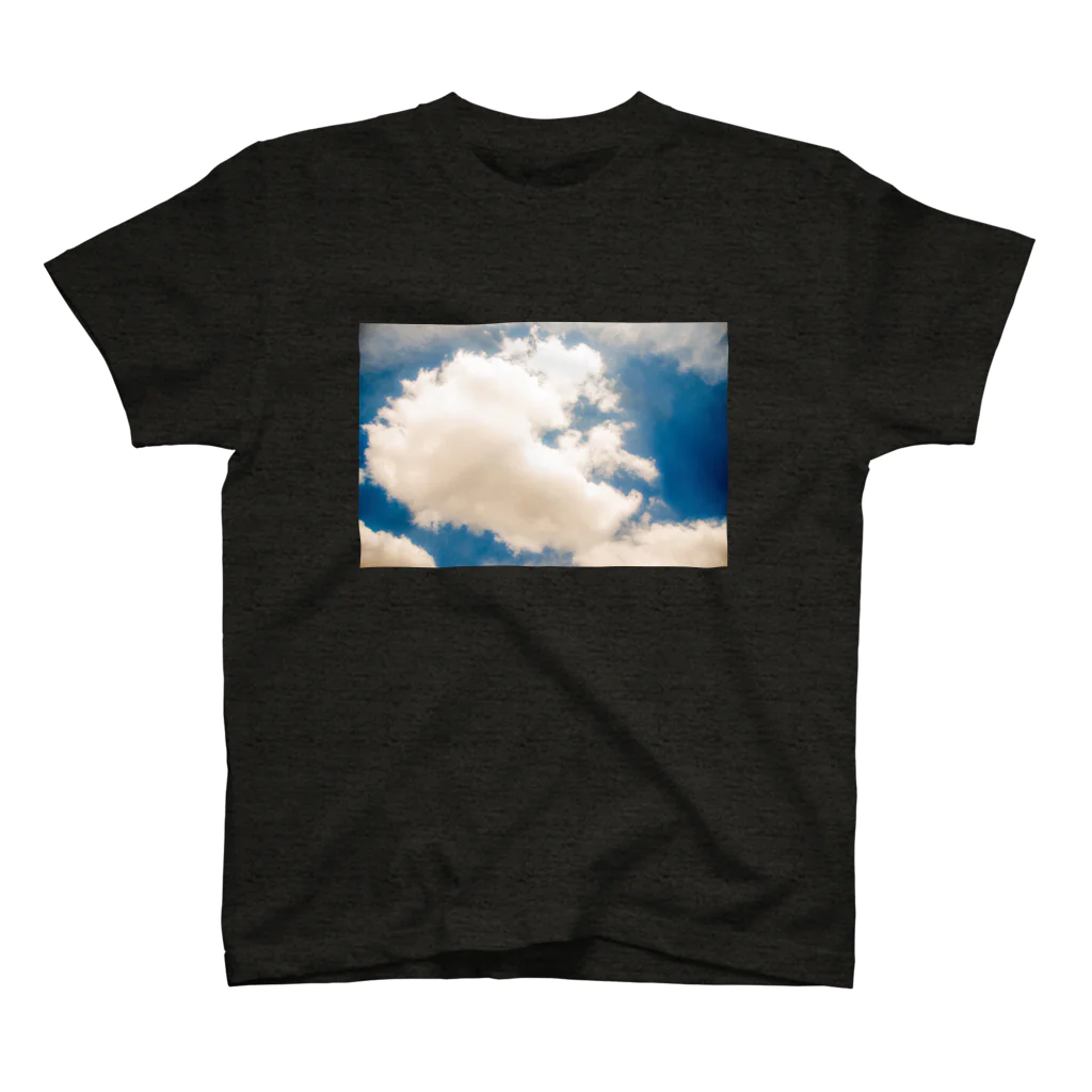 にゃーのkumo Regular Fit T-Shirt