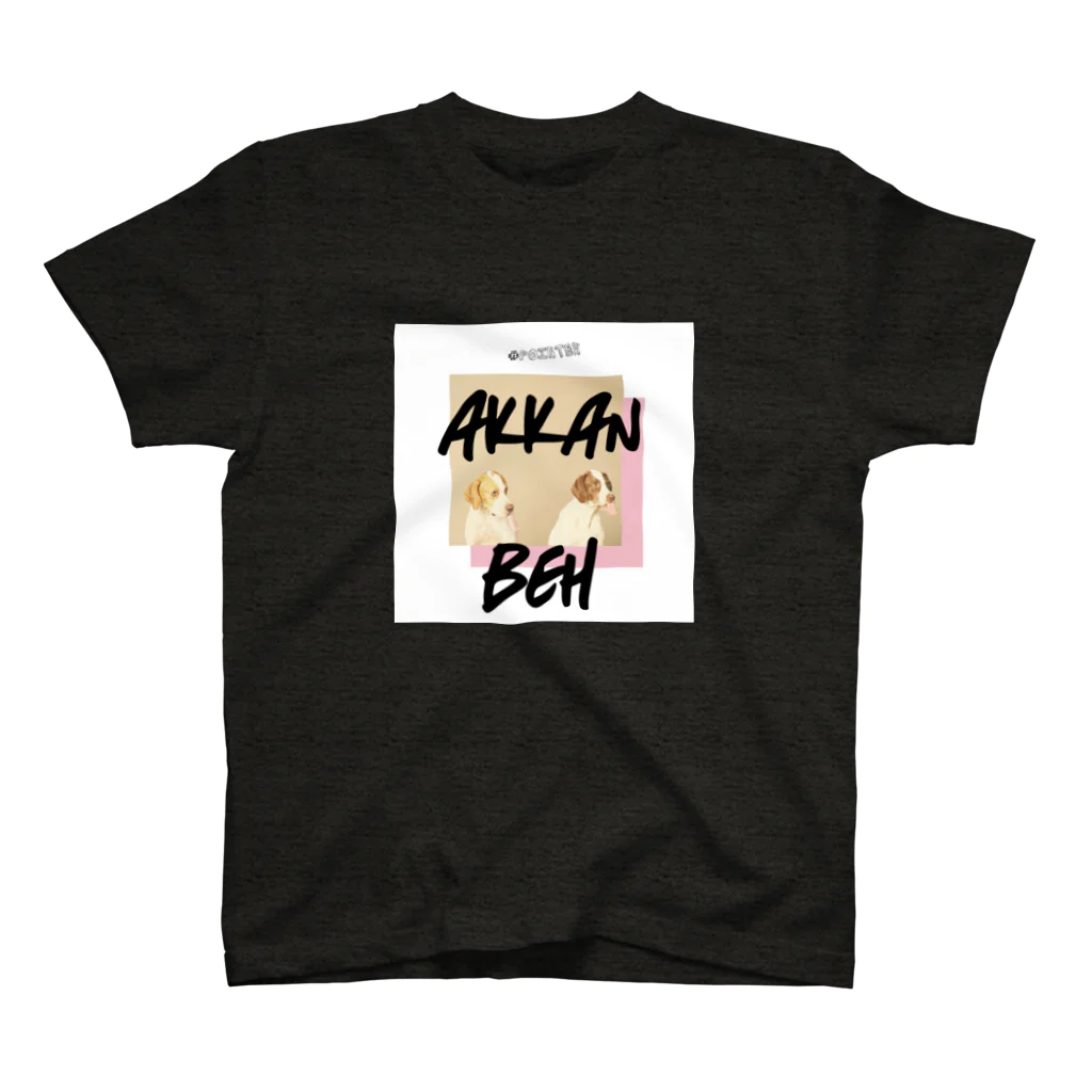 PövのAKKAN-BEH スタンダードTシャツ