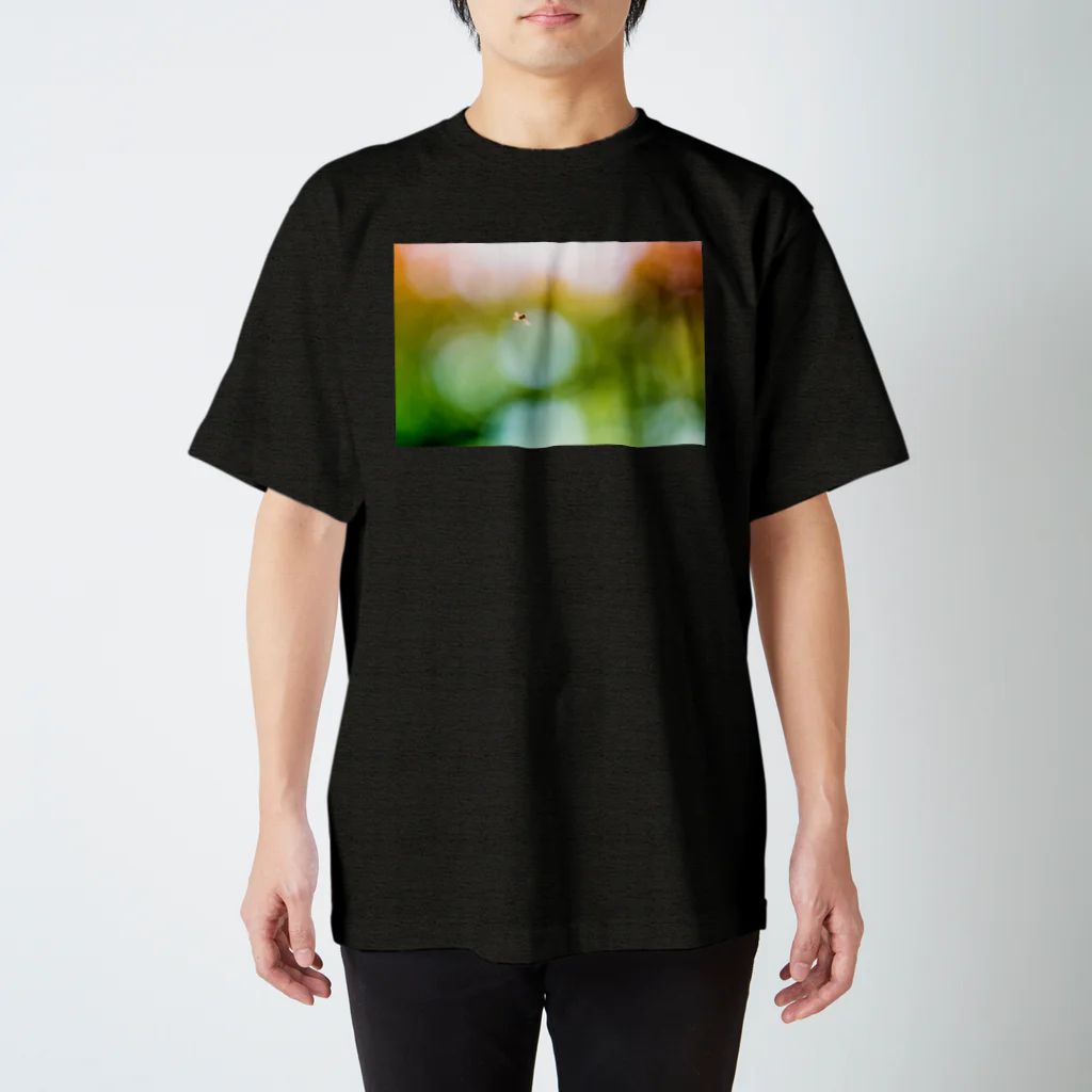 UshunのUshun/ABU(B) スタンダードTシャツ