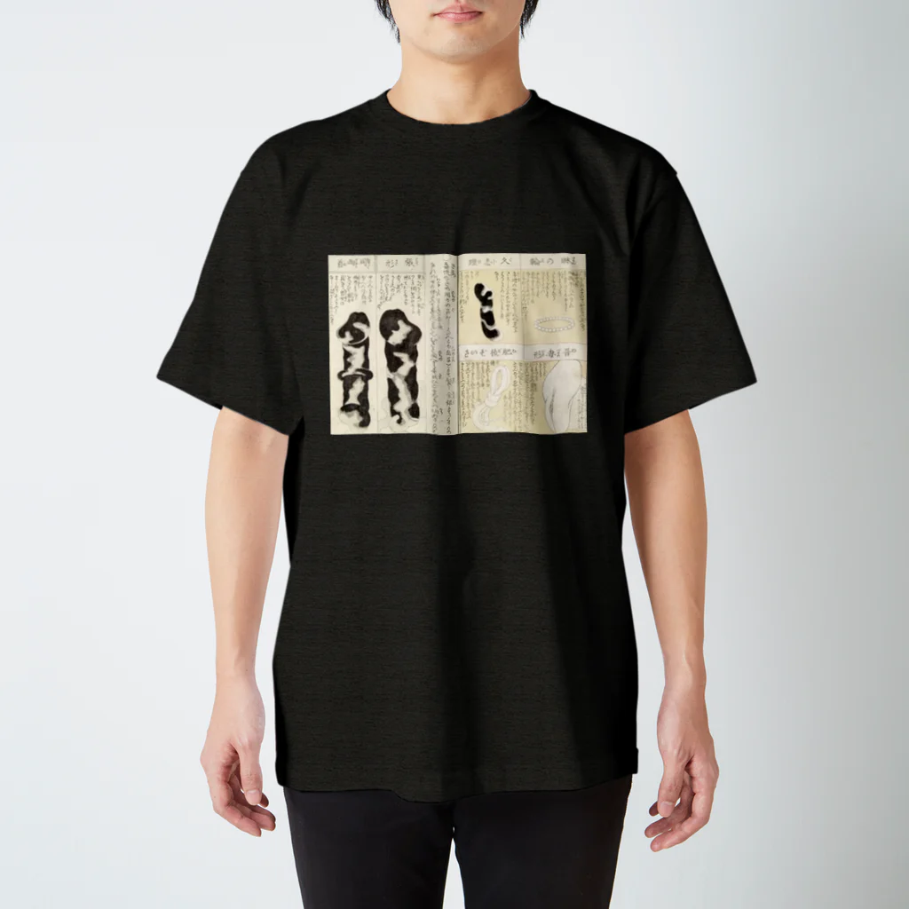 春画アートTシャツショップの艶本『閨中紀聞 枕文庫』春画アートグッズ Regular Fit T-Shirt