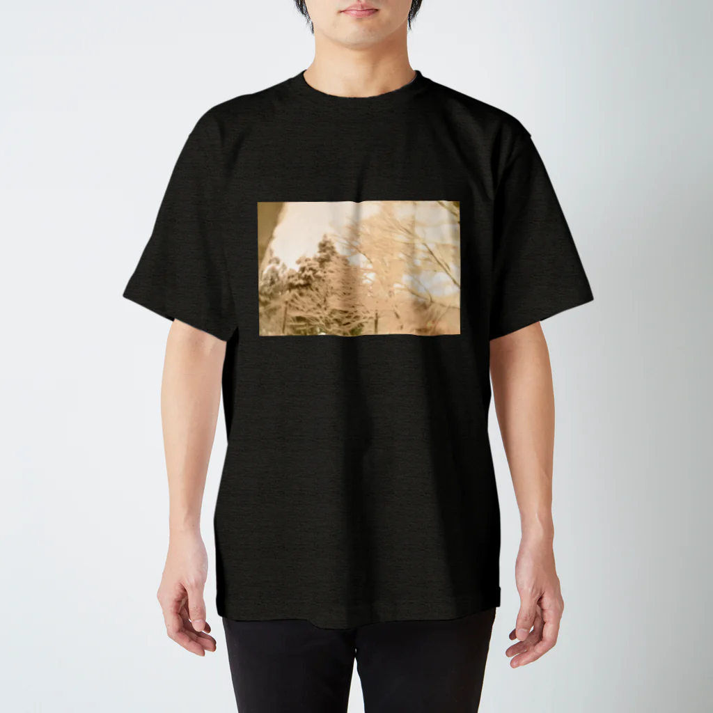 蒼の雪 Regular Fit T-Shirt