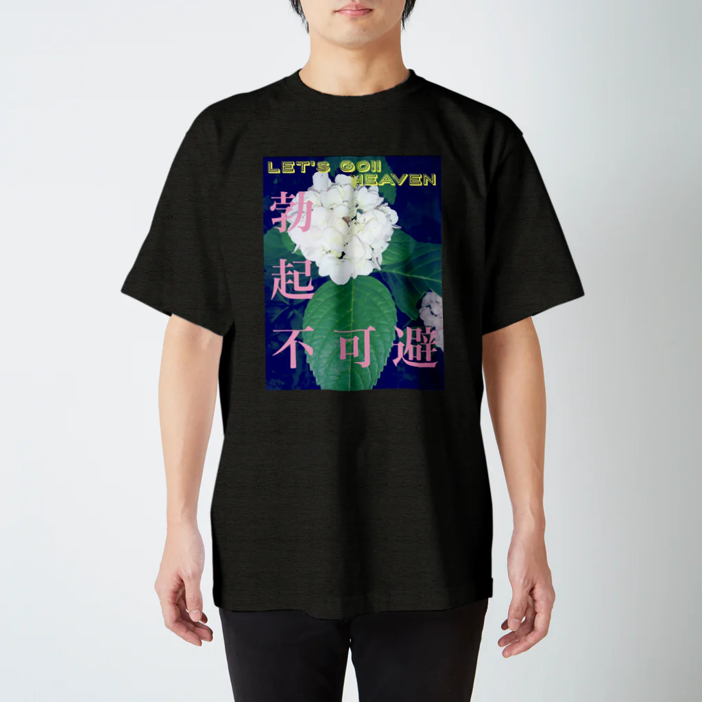 TALE  の勃起不可避！！ スタンダードTシャツ