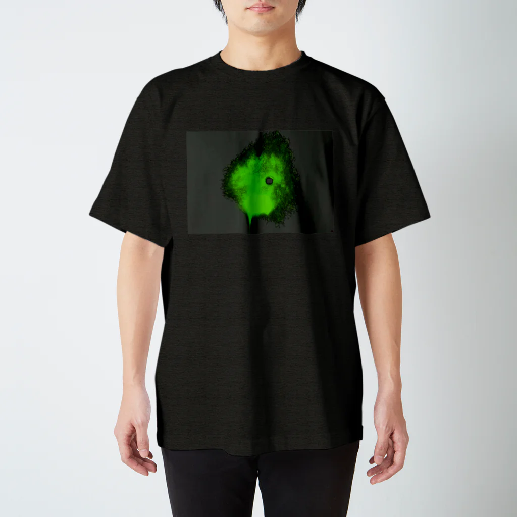 kabuki mono shopのぷしゅー Regular Fit T-Shirt