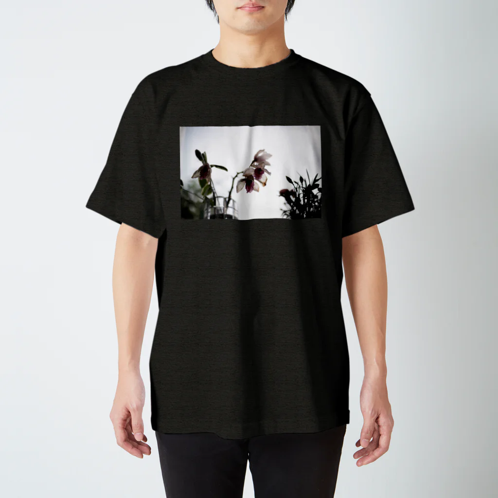 treeseekの散り際Tシャツ スタンダードTシャツ