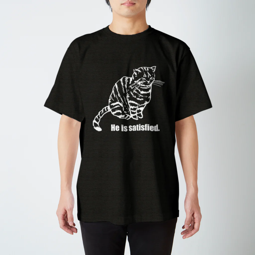 ぱいんのちゃーちゃん's Tシャツ ver.2 スタンダードTシャツ