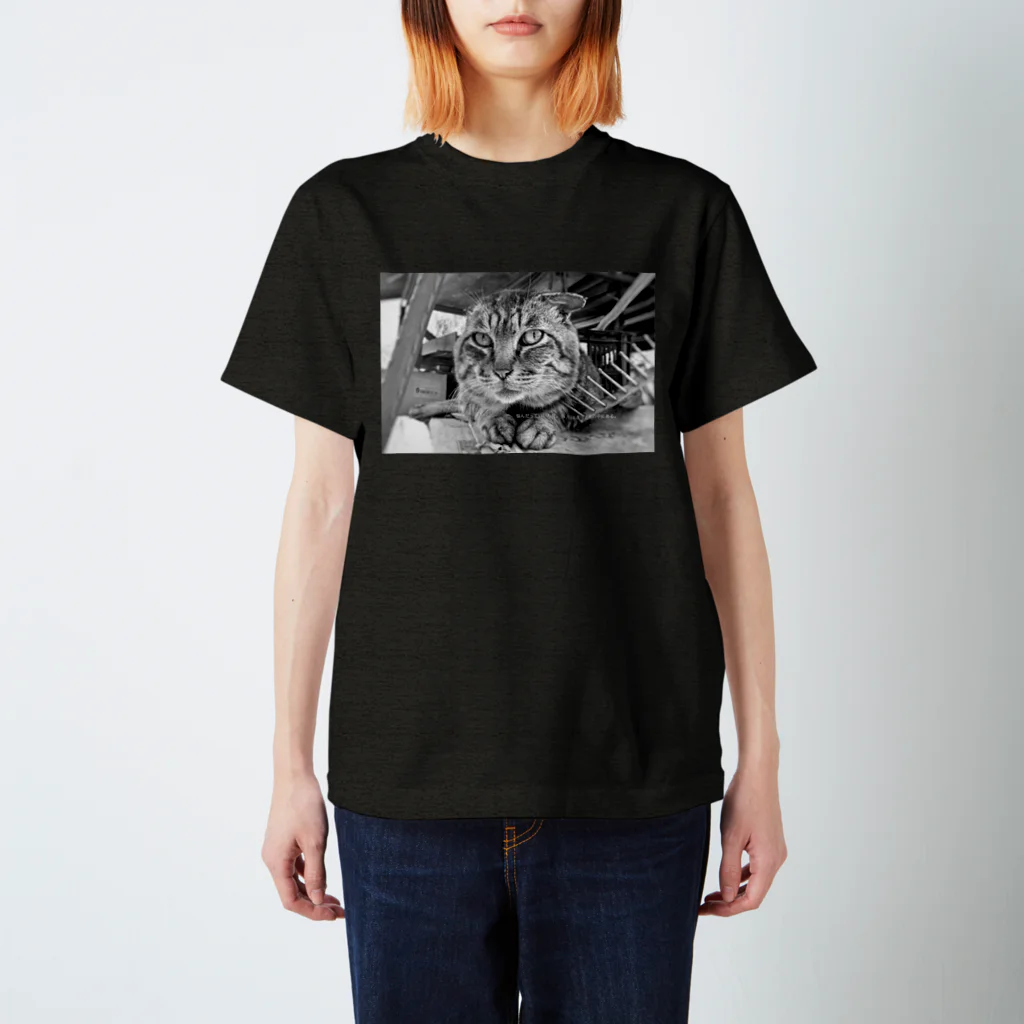 sukiatsumeのボス猫さん Regular Fit T-Shirt