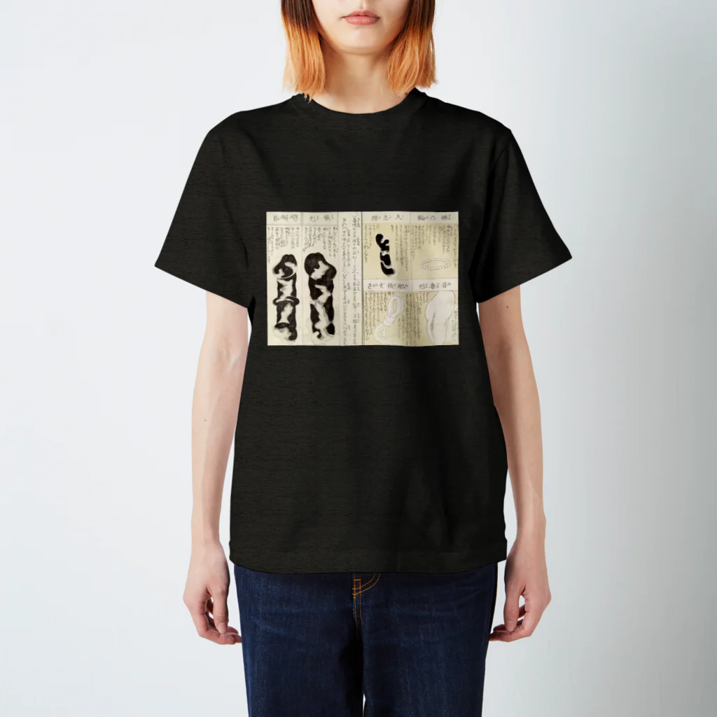 春画アートTシャツショップの艶本『閨中紀聞 枕文庫』春画アートグッズ Regular Fit T-Shirt