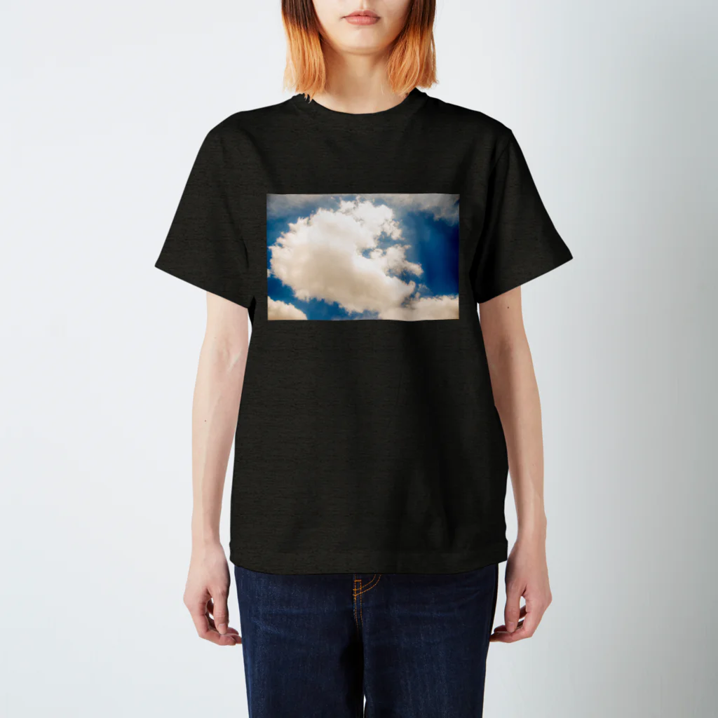 にゃーのkumo Regular Fit T-Shirt