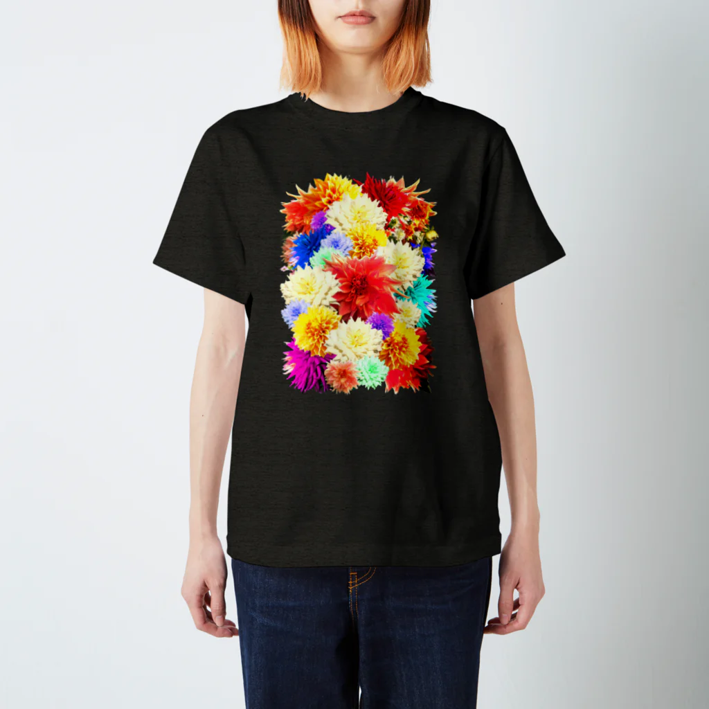 Cɐkeccooのボタニカル柄-花柄-モード好きに-カラフル Regular Fit T-Shirt