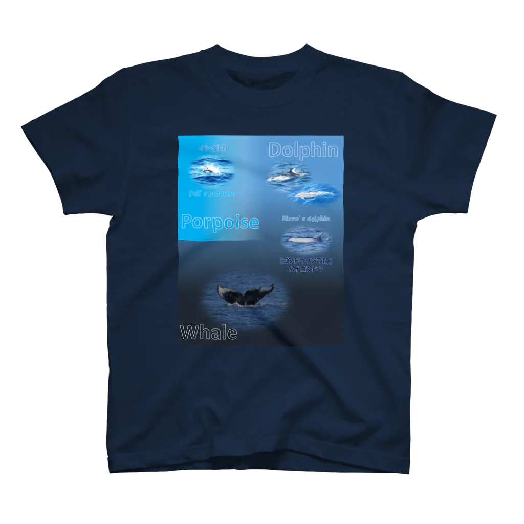 L_arctoaのイルカとクジラの違い スタンダードTシャツ