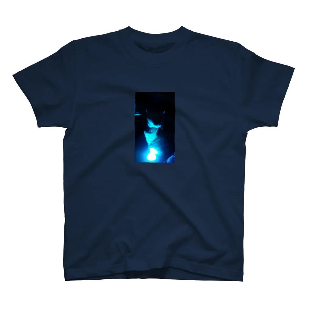 Emma Kingの光る猫 Regular Fit T-Shirt