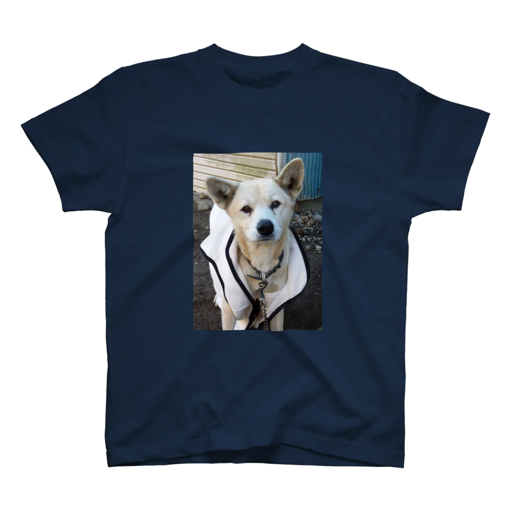 雑種犬（第三の犬）の雑種犬（第3の犬）ﾆｺﾆｺ笑う スタンダードTシャツ